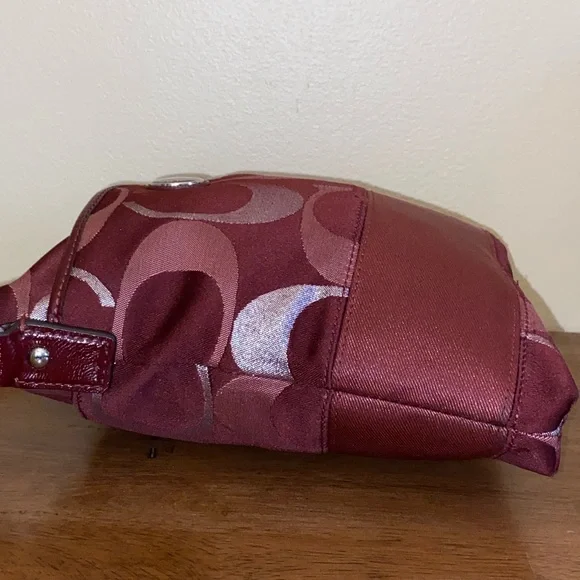 Coach Signature Metallic Stripe Crossbody Bag - Picture 7 of 15